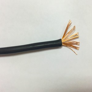 AUTO CABLE 10AMP